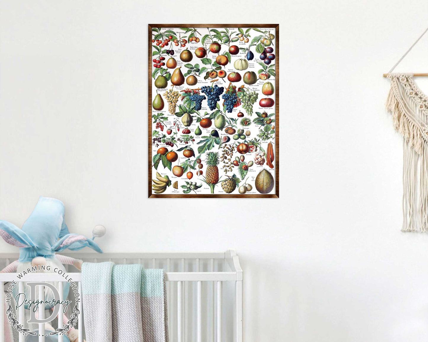 Fruit Montessori Wooden Poster - Homeschool I Educational Poster - Classroom Decor - Aesthetic - 310223
