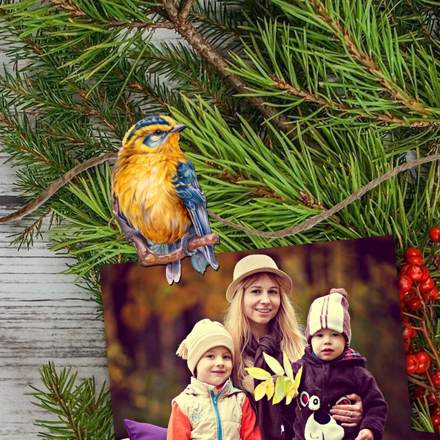 Winter Birds Decorative Wooden Clip-on Ornaments of 6 by G. Debrekht - Christmas Decor - 8090005C-S6