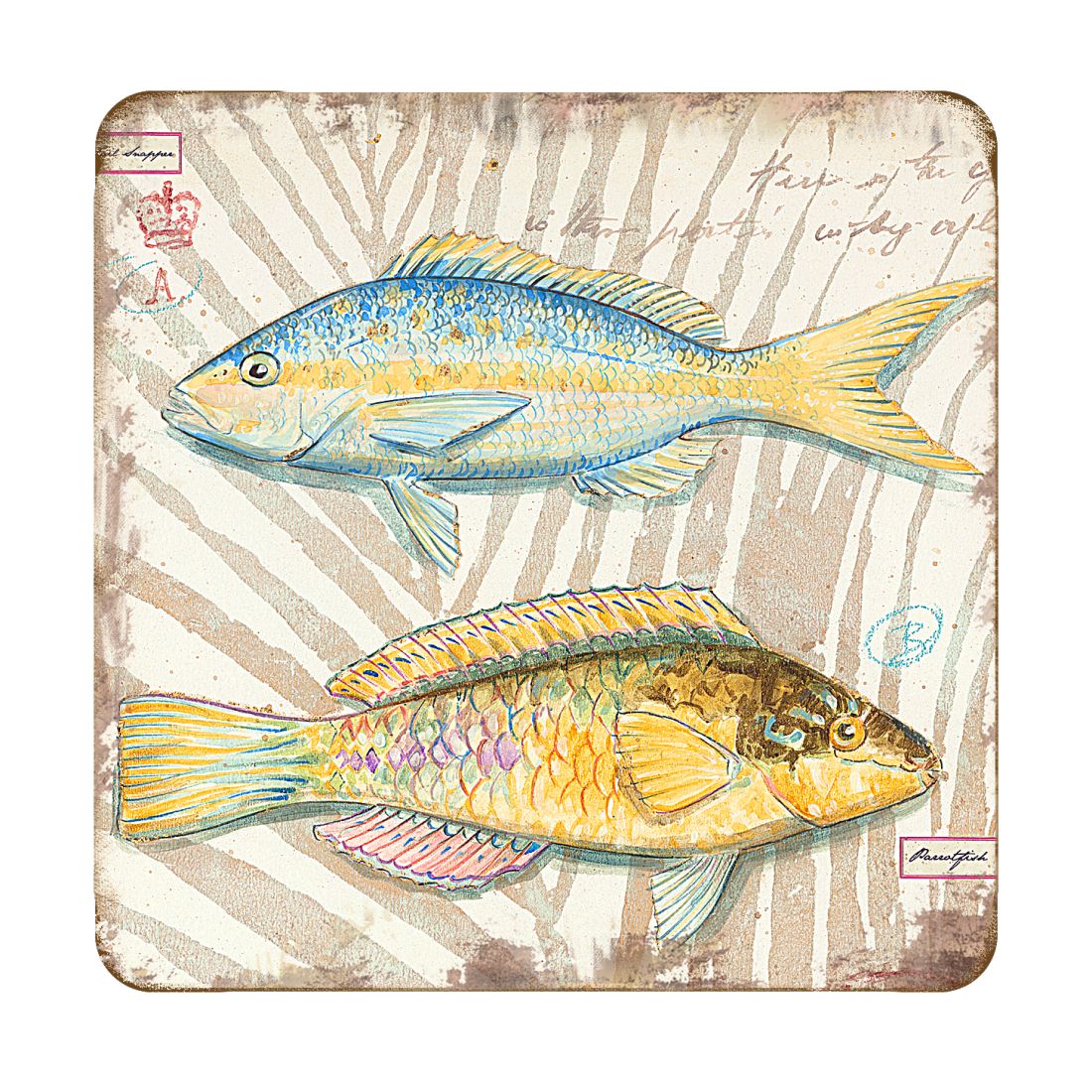 Fish Coastal Wooden Cork Coasters Gift Set of 4 by Nature Wonders - Coastal Sea-Life Decor - 8198625C-S4