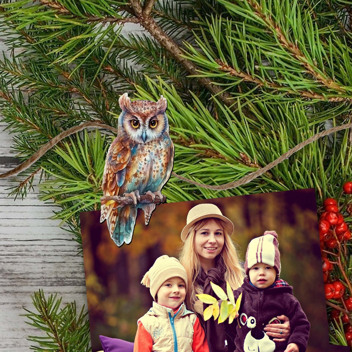 Night Owls Decorative Wooden Clip-on Ornaments of 6 by G. Debrekht - Christmas Decor - 8090004C-S6