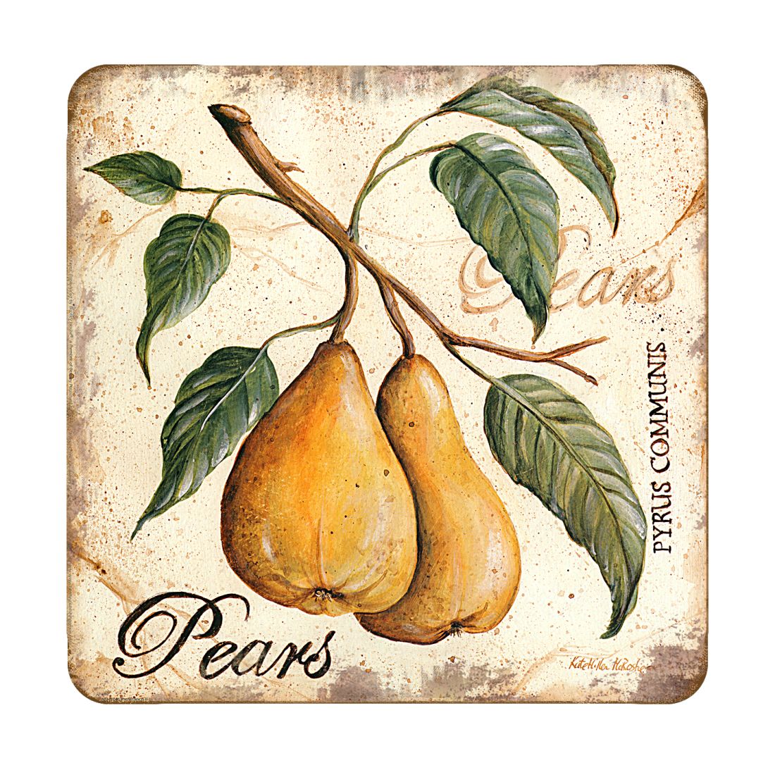 Pears Wooden Cork Coasters Gift Set of 4 by Nature Wonders - Nature Wildlife Decor  - 8198631C-S4