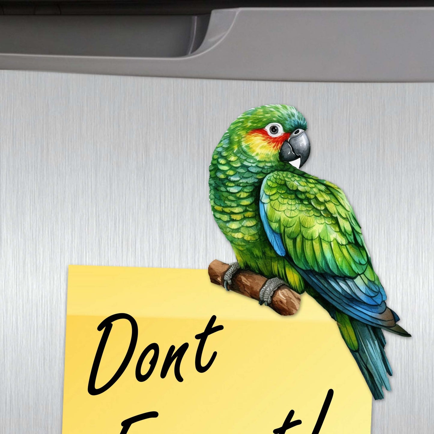 Parrots Decorative Wooden Magnets Set of 6 by G. Debrekht - Wildlife Decor - 8090013G-S6