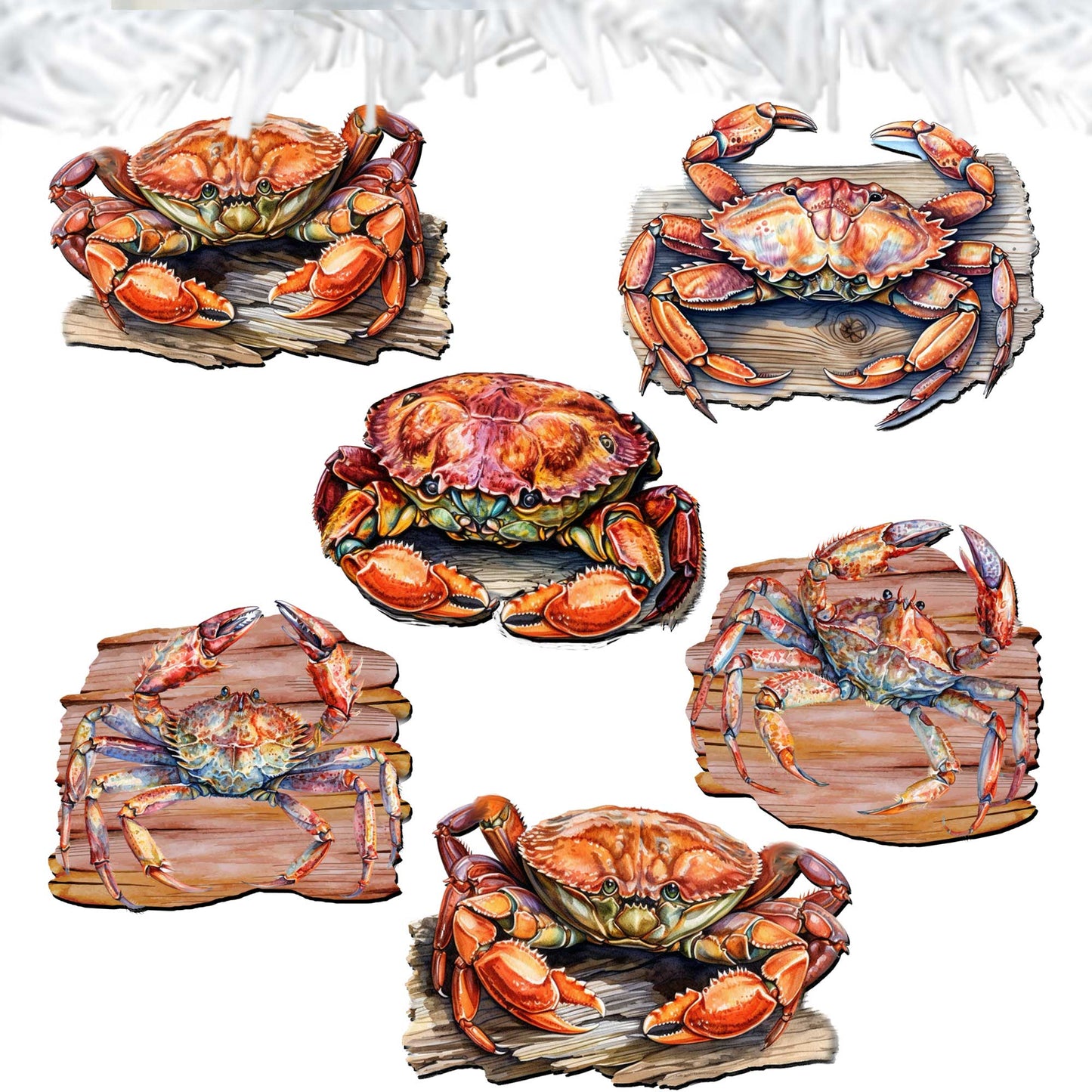 Crabs of the Wild Decorative Wooden Clip-on Ornaments Set of 6 by G. Debrekht - Wildlife Decor - 8090121C-S6