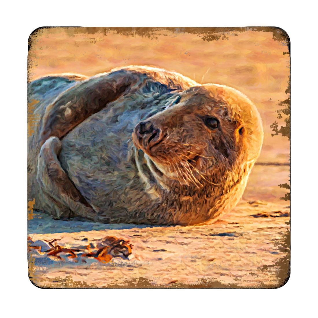 Seal Coastal Wooden Cork Coasters Gift Set of 4 by Nature Wonders - Coastal Sea-Life Decor - 95260C-S4