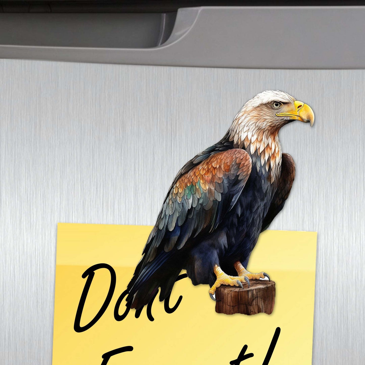 Eagle's Flight Decorative Wooden Magnets Set of 6 by G. Debrekht - Wildlife Decor - 8090101G-S6