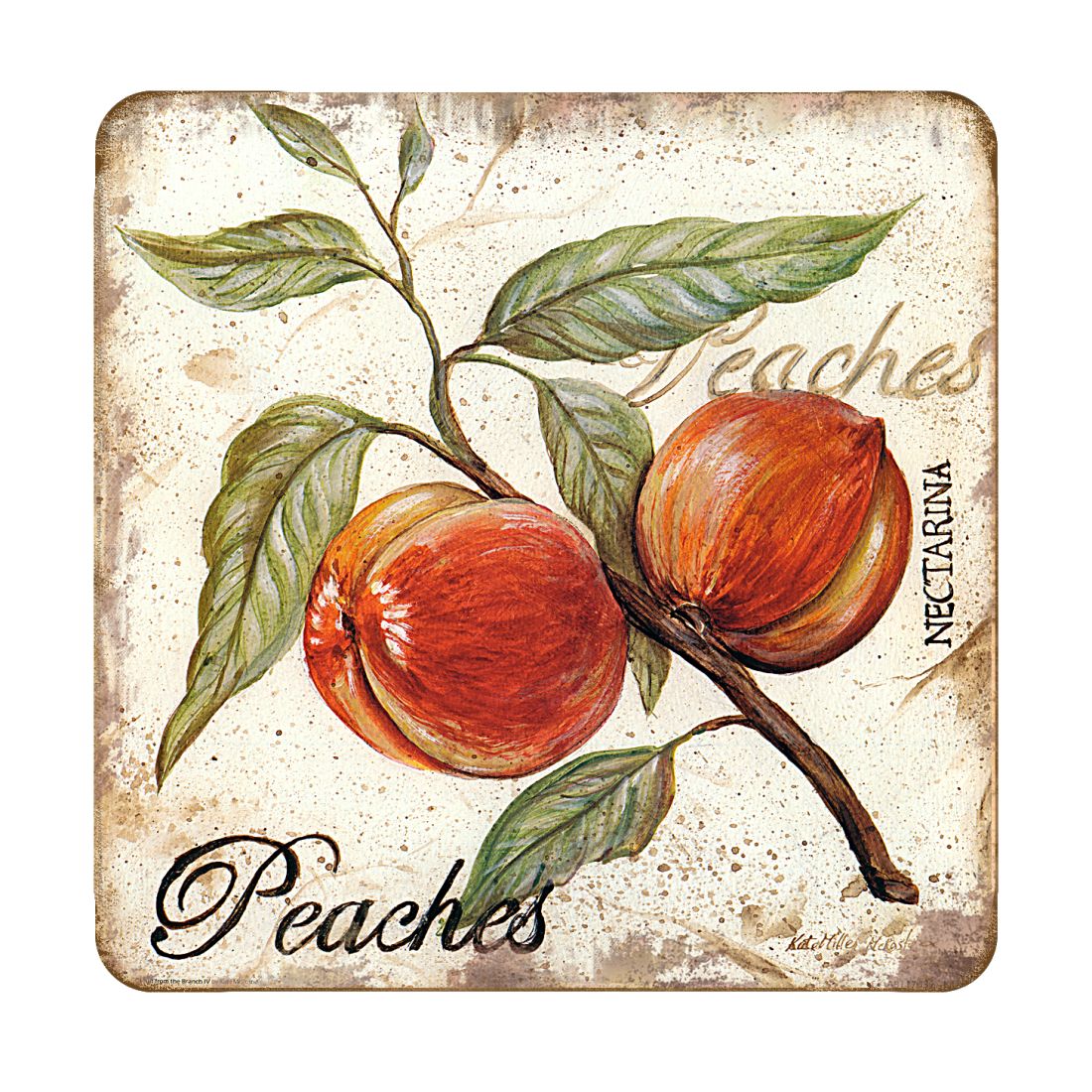 Peaches Wooden Cork Coasters Gift Set of 4 by Nature Wonders - Nature Wildlife Decor  - 8198632C-S4