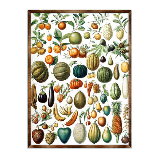 Fruit Montessori Wooden Poster - Kids Educational Poster - Homeschool I Classroom Decor - Aesthetic - 310224