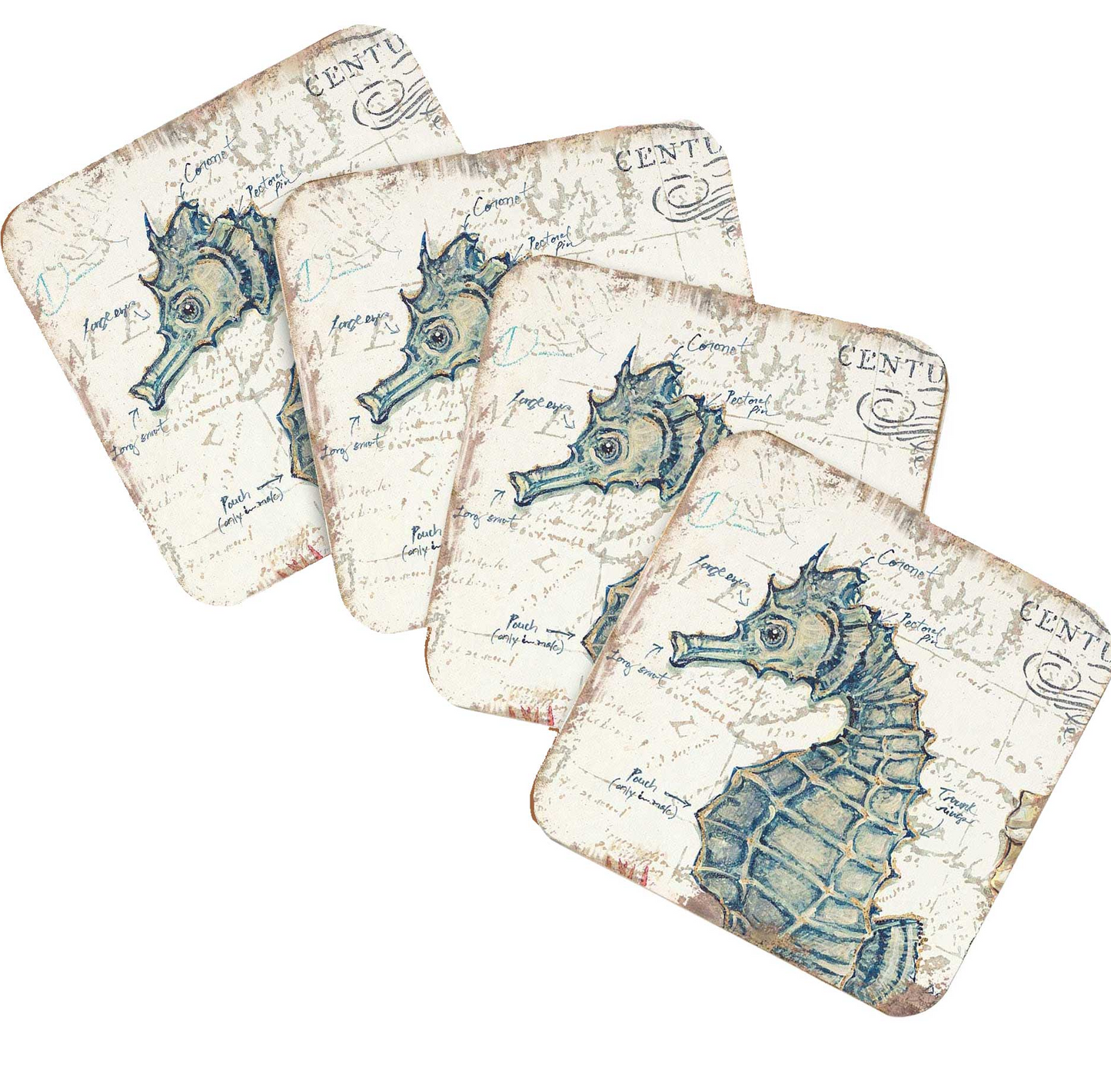 Seahorse Coastal Wooden Cork Coasters Gift Set of 4 by Nature Wonders - Coastal Sea-Life Decor - 8198621C-S4