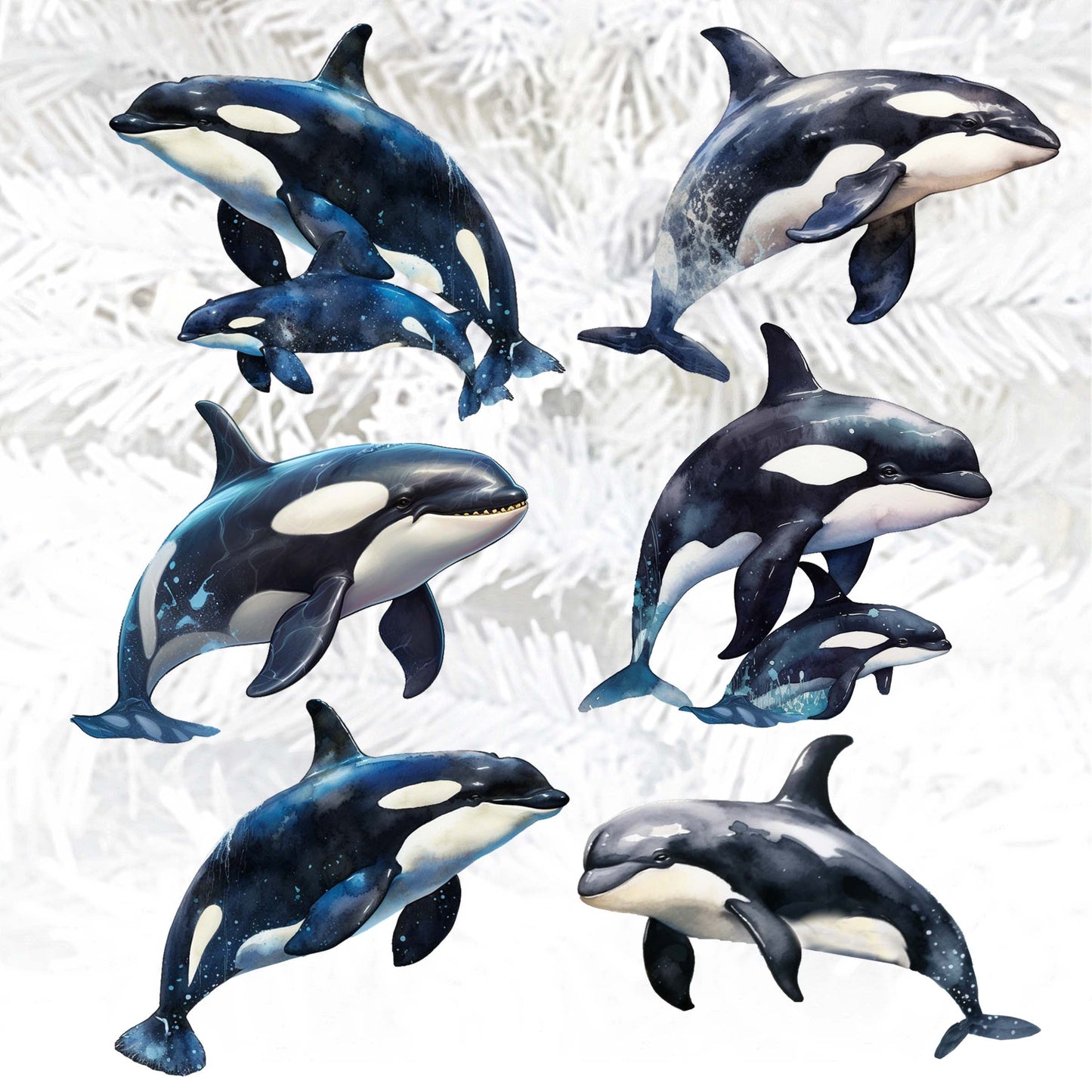 Majestic Orcas Decorative Wooden Clip-on Ornaments Set of 6 by G. Debrekht - Wildlife Decor - 8090102C-S6