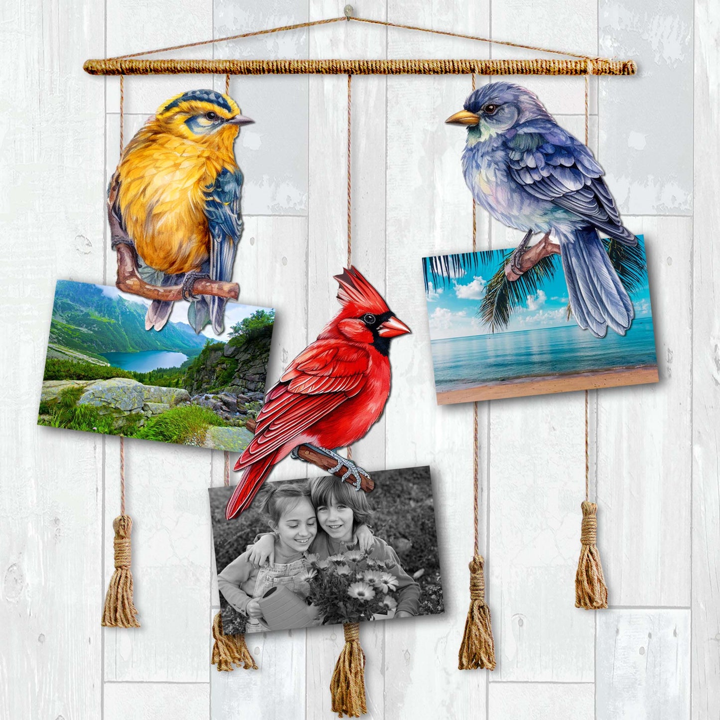 Winter Birds Decorative Wooden Clip-on Ornaments Set of 3 by G. Debrekht - Christmas Décor - 8091005C-S3