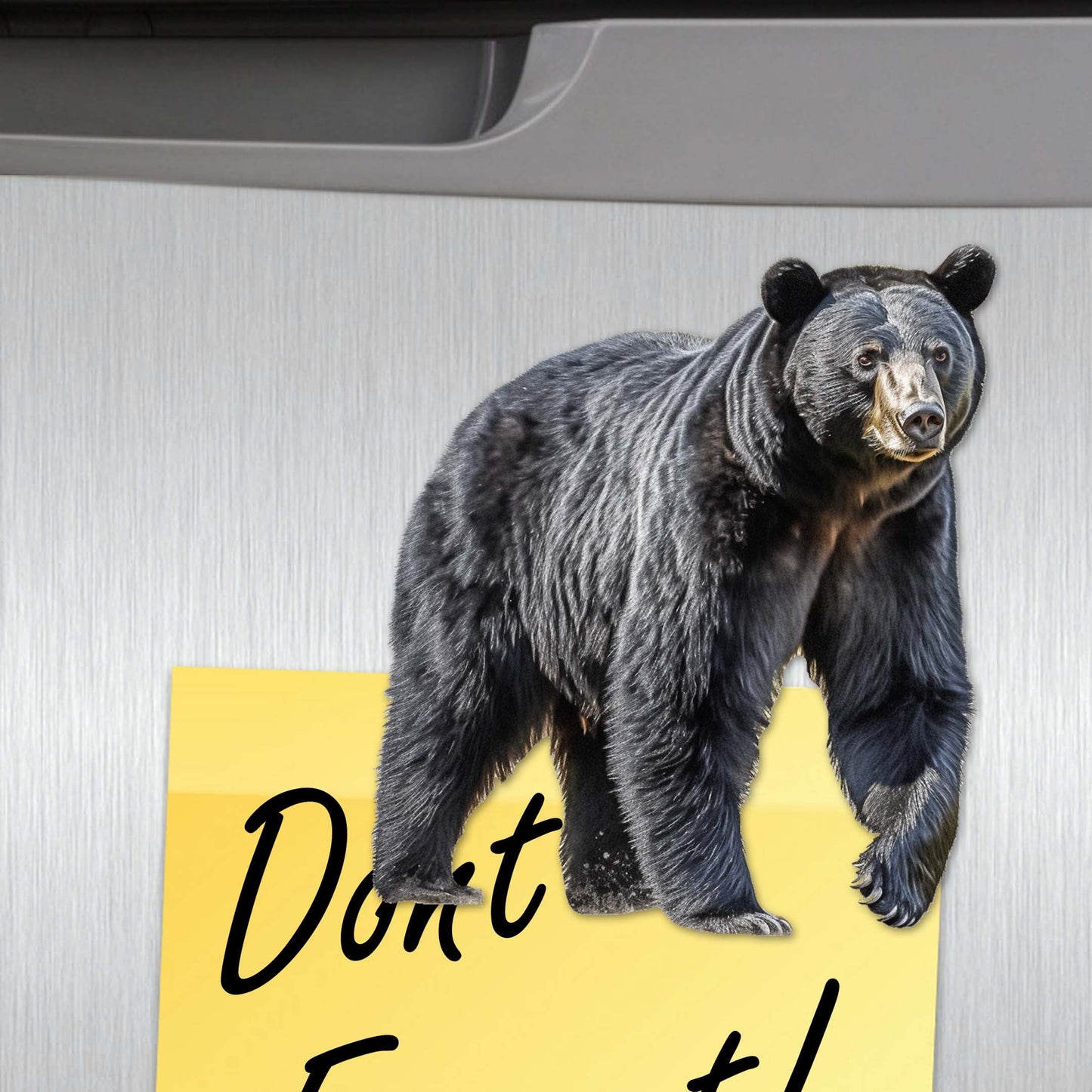 Bear Adventures Decorative Wooden Magnets Set of 6 by G. Debrekht - Wildlife Decor - 8090105G-S6