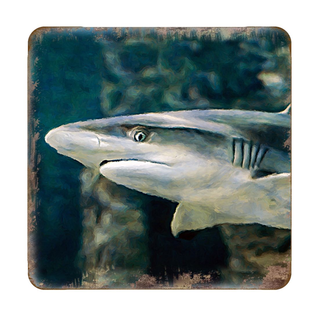 Shark Coastal Wooden Cork Coasters Gift Set of 4 by Nature Wonders - Coastal Sea-Life Decor - 95324C-S4