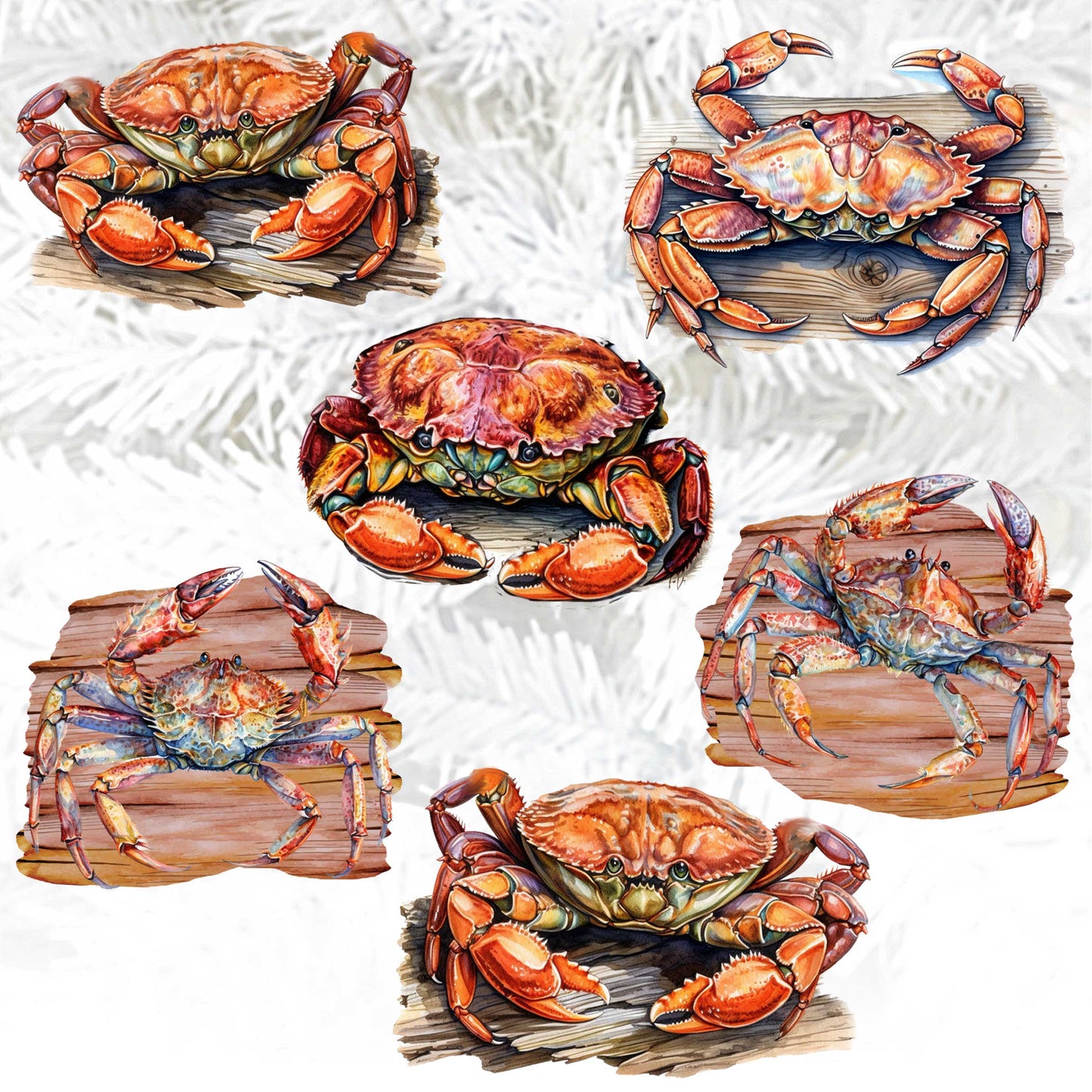 Crabs of the Wild Decorative Wooden Clip-on Ornaments Set of 6 by G. Debrekht - Wildlife Decor - 8090121C-S6