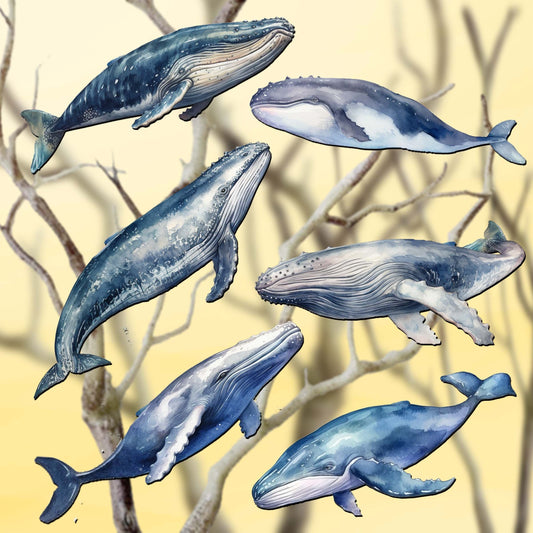 Coastal Giants Humpback Whales Decorative Wooden Clip-on Ornaments Set of 6 by G. Debrekht - Wildlife Decor - 8090103C-S6