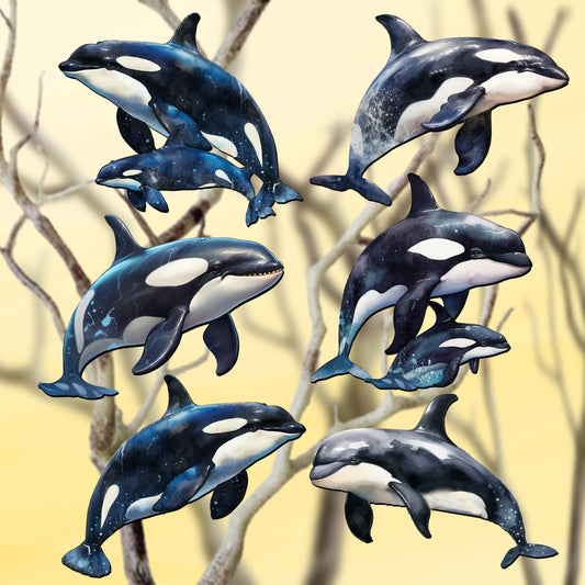Majestic Orcas Decorative Wooden Clip-on Ornaments Set of 6 by G. Debrekht - Wildlife Decor - 8090102C-S6