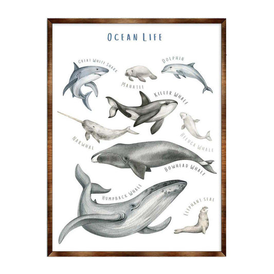 Ocean Animals Wooden Kids Room Décor - First day of school gift - Homeschool I Montessori wooden Educational Poster - Classroom Décor - Playroom Art - 310216