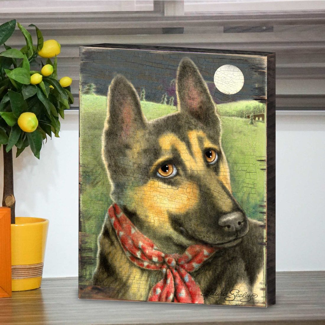 Spring Training Wooden Wall Art by Laura Seeley - Pets Dog and Cats Decor - 8511115B