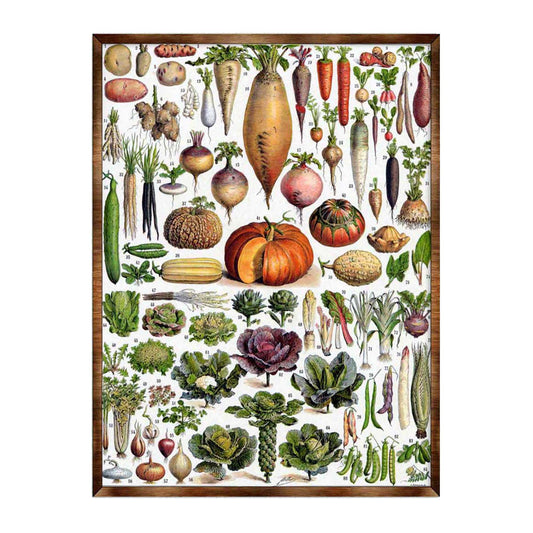 Kids Educational Poster with Root Vegetables - ?ÿMontessori Wooden Poster - Homeschool I Classroom Decor - Aesthetic - 310225