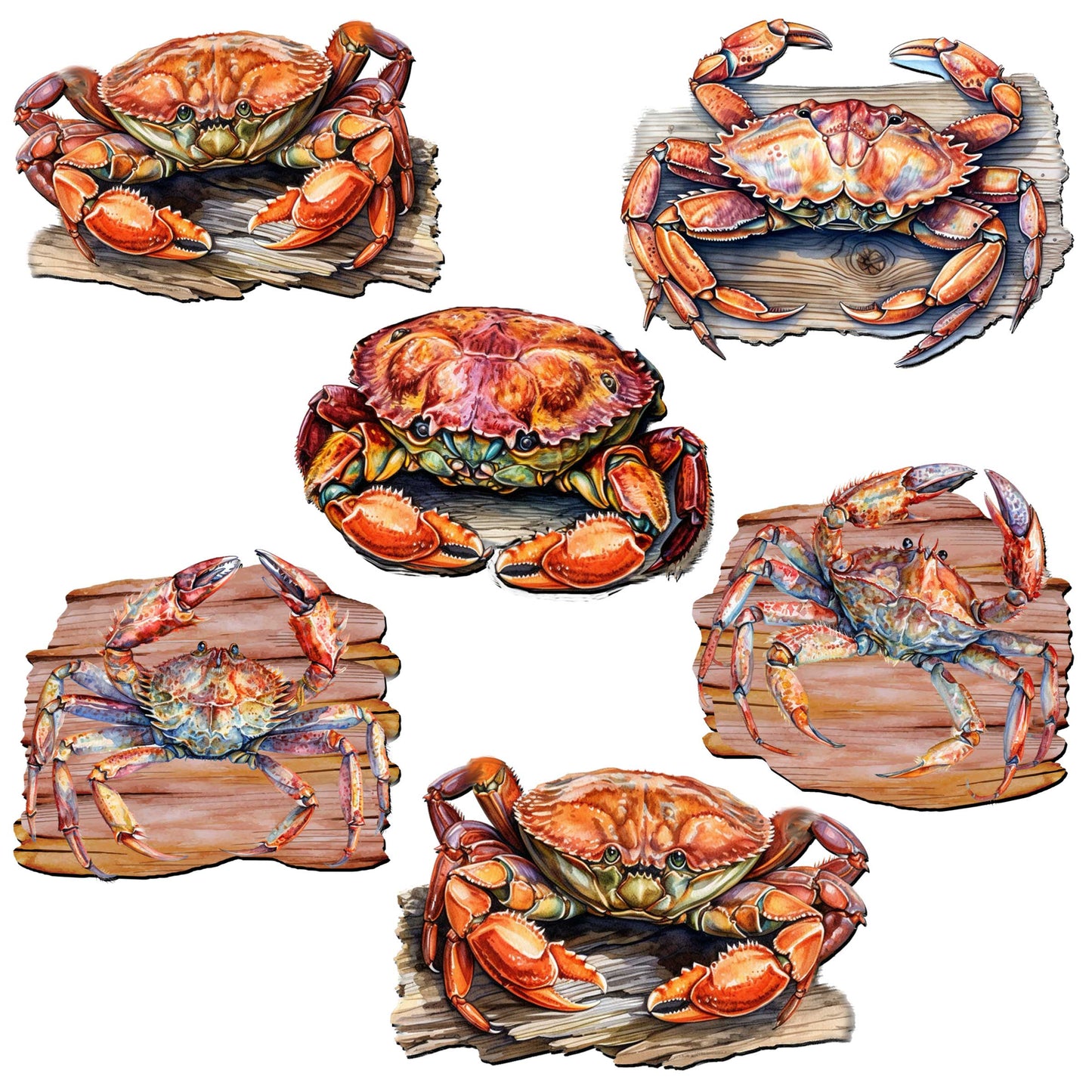 Crabs of the Wild Decorative Wooden Magnets Set of 6 by G. Debrekht - Wildlife Decor - 8090121G-S6