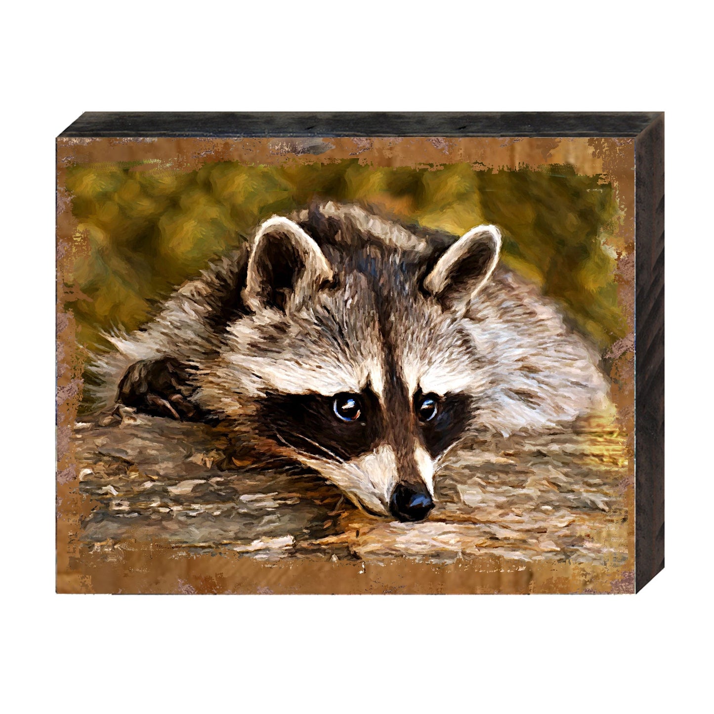 Racoon Art Wooden Wall Art by Nature Wonders - Nature Wildlife Decor  - 95289B
