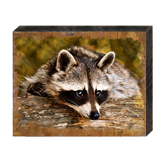Racoon Art Wooden Wall Art by Nature Wonders - Nature Wildlife Decor  - 95289B