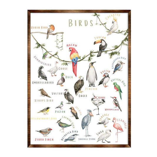 Nature Birds Wooden Wall Decor - Kids room decor - First day of school gift - ABC 123 Kids - Homeschool I Educational Poster - Art for kids - Alphabet - Classroom Decor - 310214