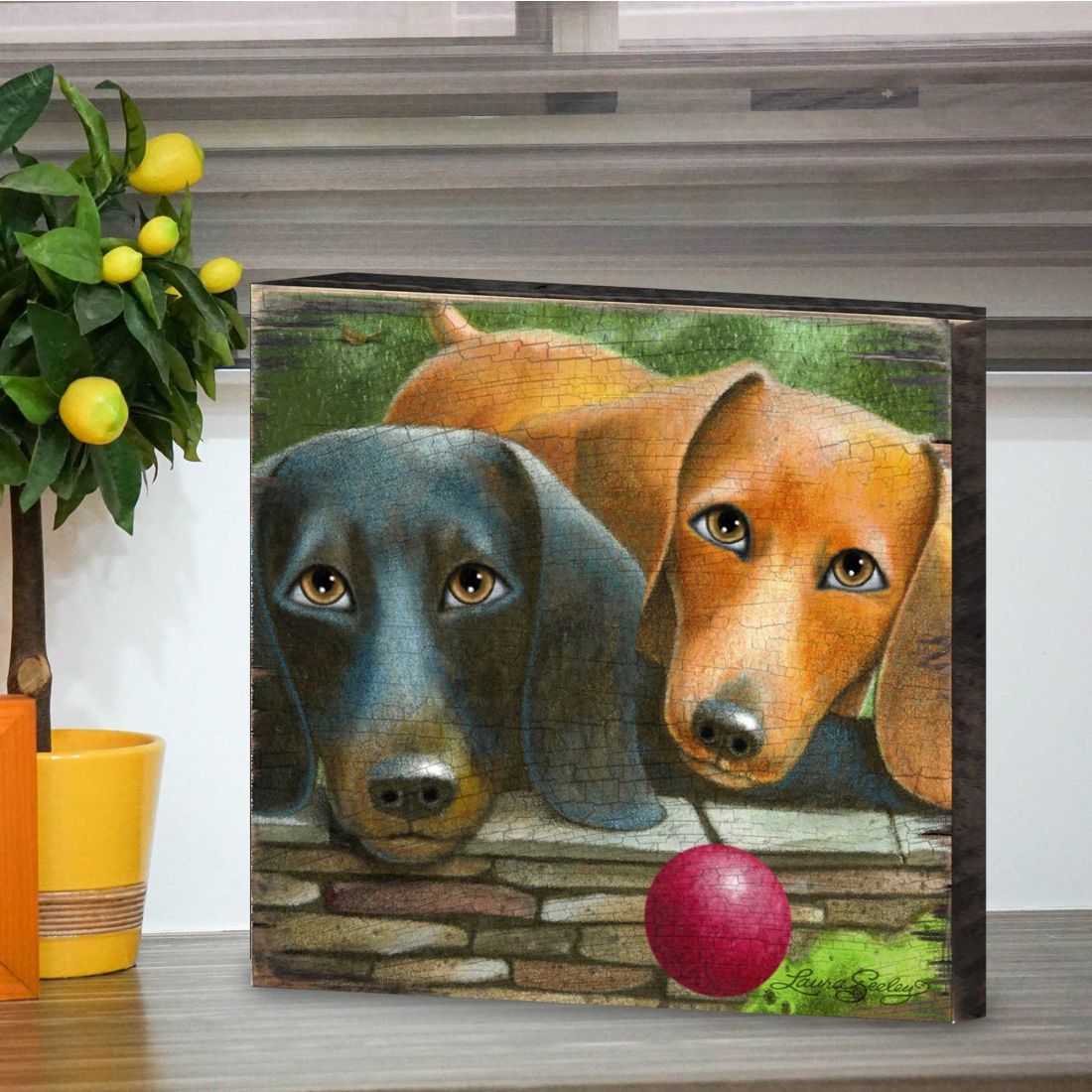 Where's the Ball Wooden Wall Art by Laura Seeley - Pets Dog and Cats Decor - 8511116B